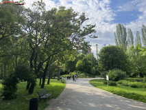 Grădina Botanică Dimitrie Brândză Bucureşti 19