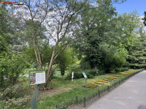 Grădina Botanică Dimitrie Brândză Bucureşti 23