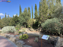 Grădina Botanică La Concepción din Malaga 09