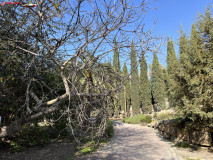 Grădina Botanică La Concepción din Malaga 10