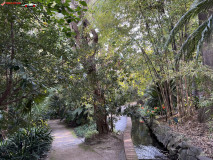 Grădina Botanică La Concepción din Malaga 102