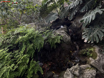 Grădina Botanică La Concepción din Malaga 104