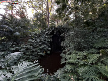 Grădina Botanică La Concepción din Malaga 107