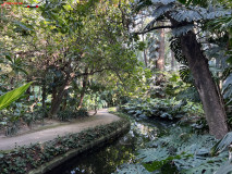 Grădina Botanică La Concepción din Malaga 109