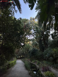 Grădina Botanică La Concepción din Malaga 112