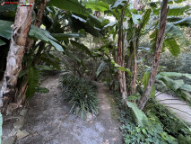 Grădina Botanică La Concepción din Malaga 113