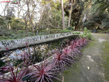 Grădina Botanică La Concepción din Malaga 114