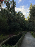 Grădina Botanică La Concepción din Malaga 115