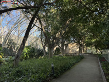 Grădina Botanică La Concepción din Malaga 117