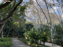 Grădina Botanică La Concepción din Malaga 120