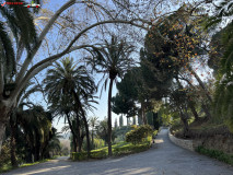 Grădina Botanică La Concepción din Malaga 127