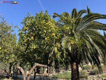 Grădina Botanică La Concepción din Malaga 13