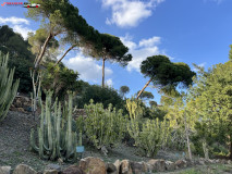 Grădina Botanică La Concepción din Malaga 130