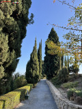 Grădina Botanică La Concepción din Malaga 135
