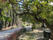 Grădina Botanică La Concepción din Malaga 17