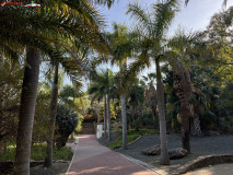 Grădina Botanică La Concepción din Malaga 70