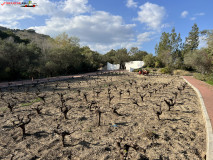 Grădina Botanică La Concepción din Malaga 78