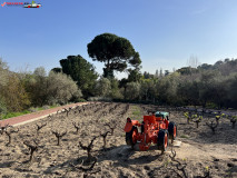 Grădina Botanică La Concepción din Malaga 80