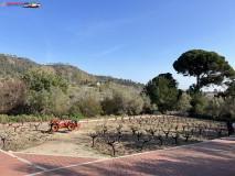 Grădina Botanică La Concepción din Malaga 82