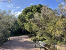 Grădina Botanică La Concepción din Malaga 83