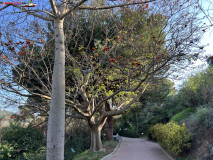 Grădina Botanică La Concepción din Malaga 89