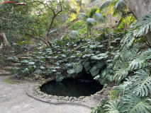 Grădina Botanică La Concepción din Malaga 99