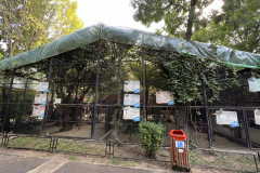 Grădina Zoologică Bucureşti 103