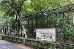 Grădina Zoologică Bucureşti 105