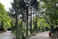 Grădina Zoologică Bucureşti 106