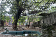 Grădina Zoologică Bucureşti 11