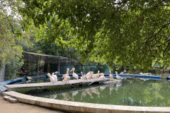 Grădina Zoologică Bucureşti 111