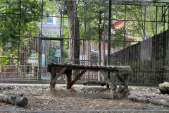 Grădina Zoologică Bucureşti 12