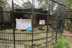 Grădina Zoologică Bucureşti 15