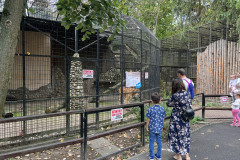 Grădina Zoologică Bucureşti 17