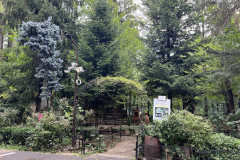 Grădina Zoologică Bucureşti 19