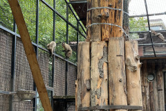 Grădina Zoologică Bucureşti 24