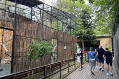 Grădina Zoologică Bucureşti 44