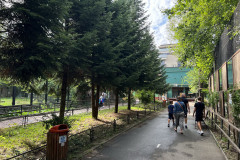 Grădina Zoologică Bucureşti 45