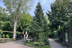 Grădina Zoologică Bucureşti 47