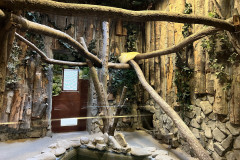 Grădina Zoologică Bucureşti 60