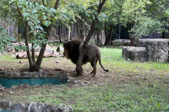 Grădina Zoologică Bucureşti 65