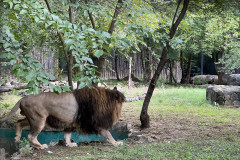 Grădina Zoologică Bucureşti 66