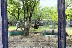 Grădina Zoologică Bucureşti 67