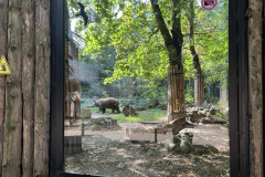 Grădina Zoologică Bucureşti 70