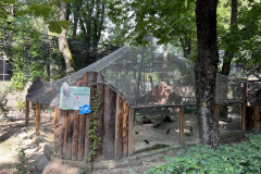 Grădina Zoologică Bucureşti 71