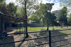 Grădina Zoologică Bucureşti 75