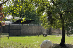 Grădina Zoologică Bucureşti 76