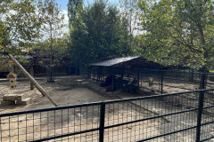 Grădina Zoologică Bucureşti 84