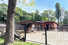 Grădina Zoologică Bucureşti 86
