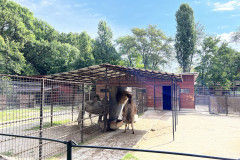 Grădina Zoologică Bucureşti 87